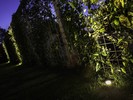 In-lite Flux 602