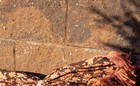 Asak Mur Vertica Natur4